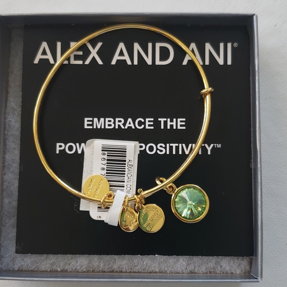 Alex and Ani Jewelry - ALEX AND ANI bangle